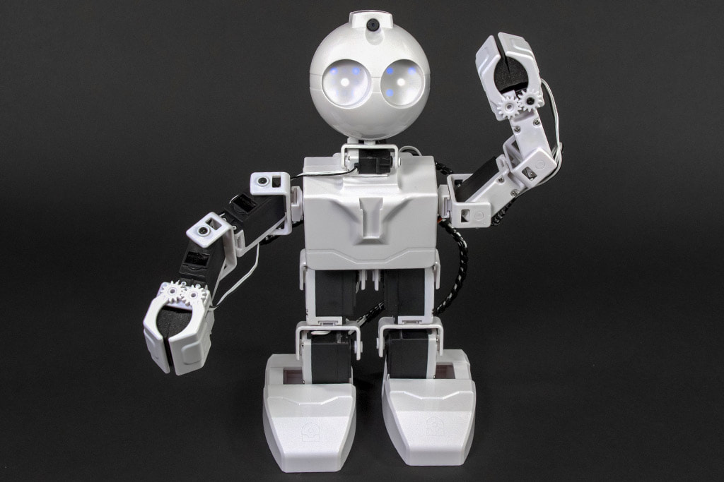 JD Humanoid Robot